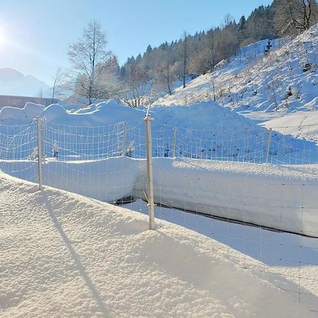 Ferienwohnungen Raffler Fieberbrunn Luaran gambar
